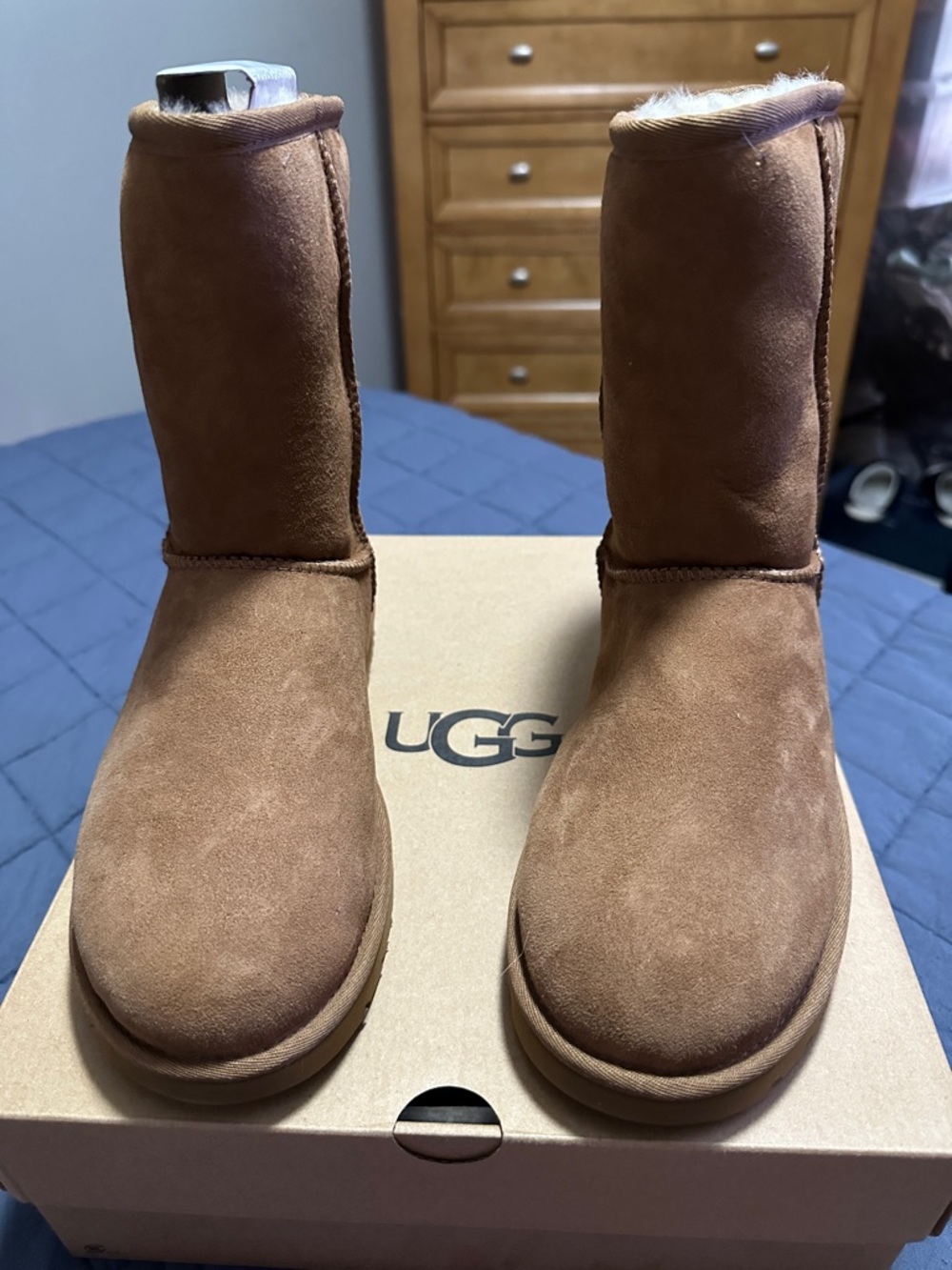 UGG Classic Short Boot in Chestnut Brown